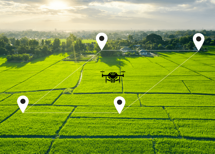 Harnessing AI to Revolutionize the Land Sector in Ghana